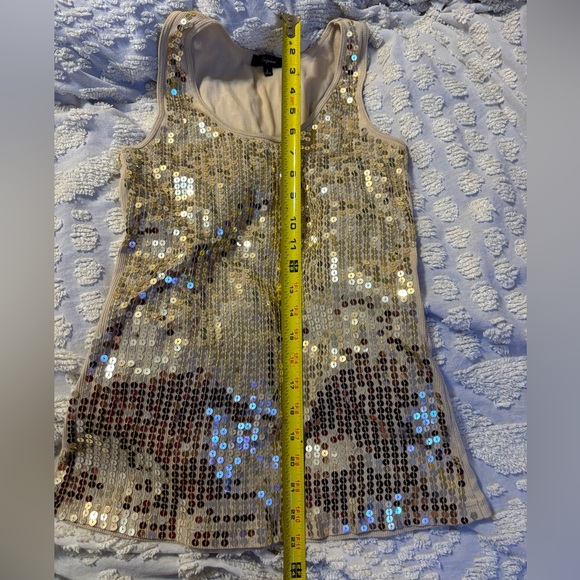 Gold and Silver Sequined Shimmery Tanks by Express and Instant Romance - Picture 12 of 12